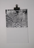 Keffiyeh Screen Print (Half)