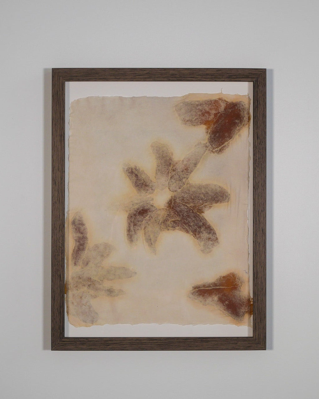 Mango Flowers (Framed)