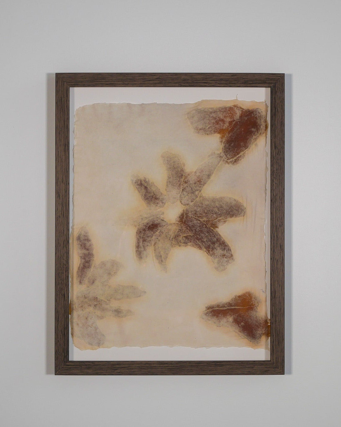 Mango Flowers (Framed)