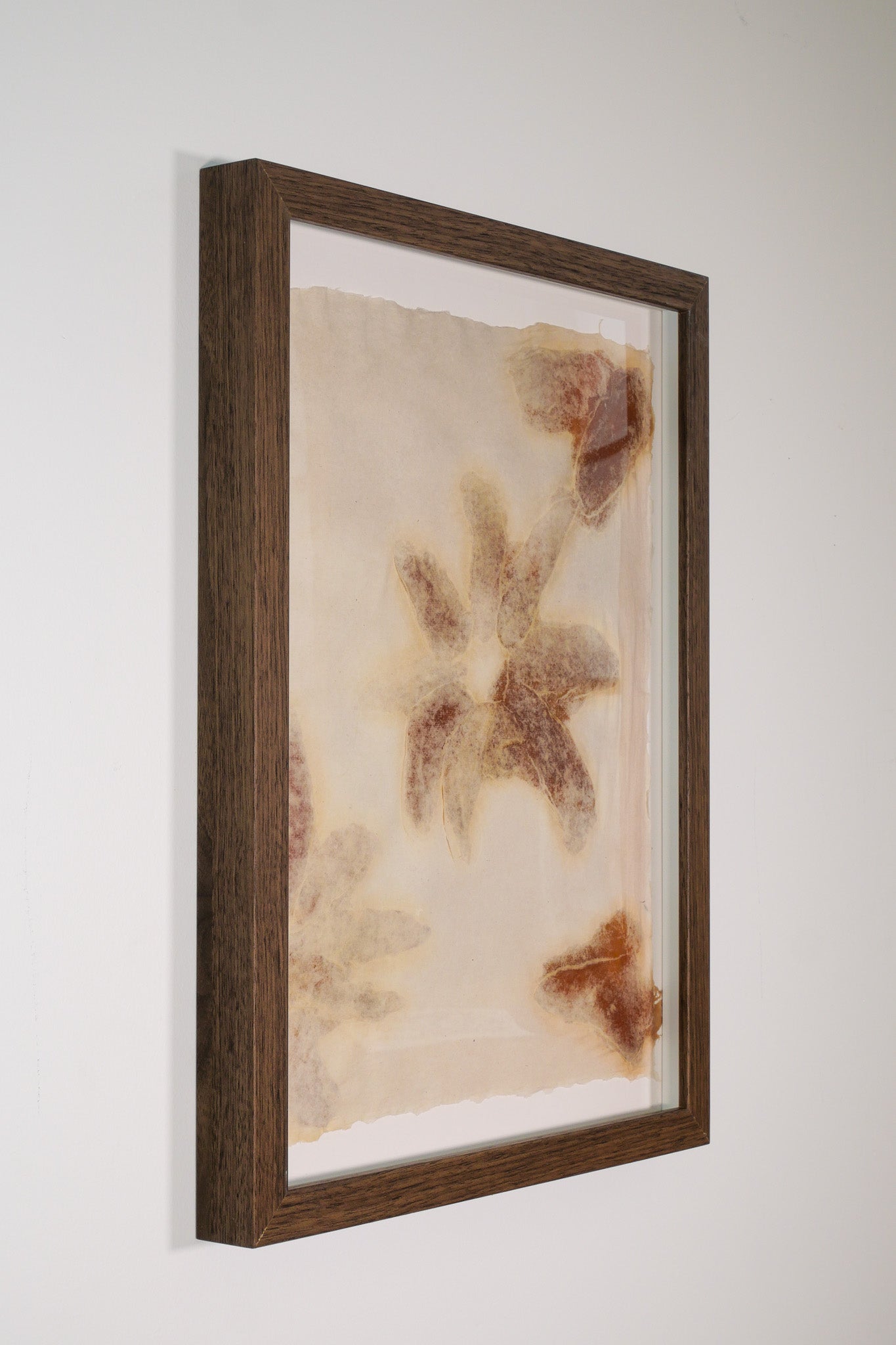 Mango Flowers (Framed)