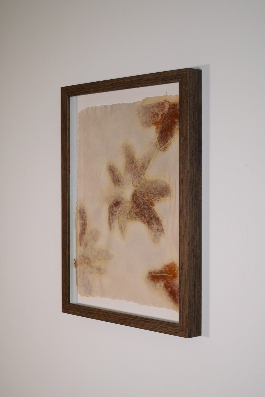 Mango Flowers (Framed)